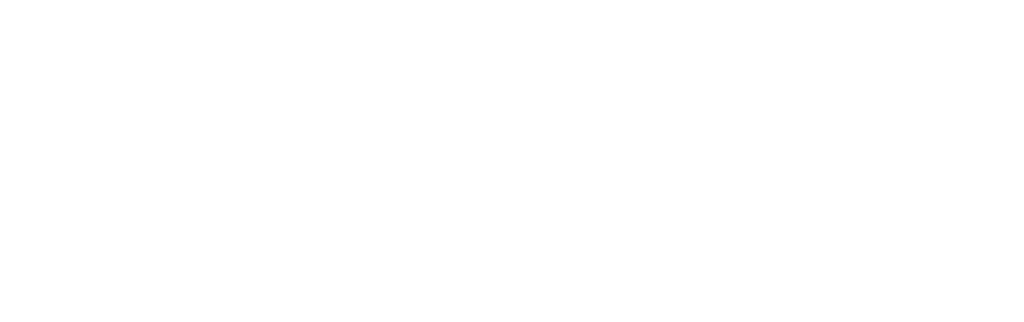Carolina Hosting White Logo